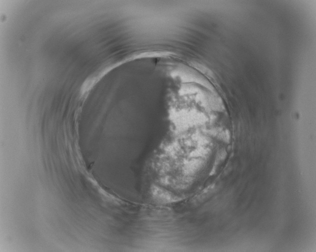 X0000070400337200606302017