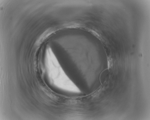 X0000070400339200606302017