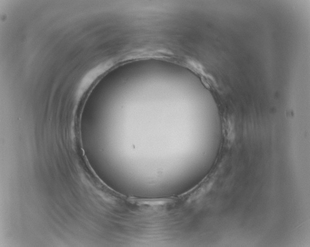 X0000070400340200606302017