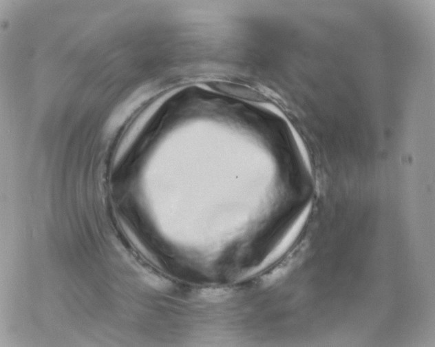 X0000070400341200606302017