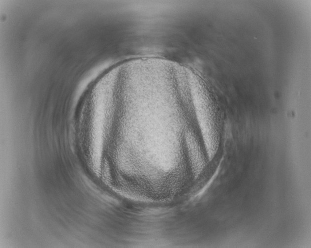 X0000070400342200606302017