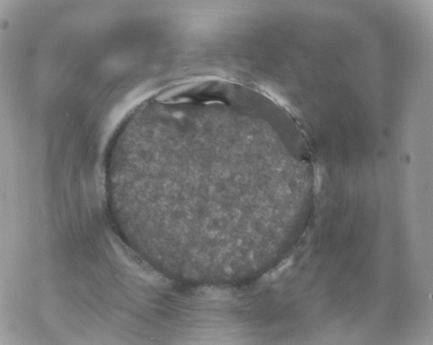 X0000070400343200606302017