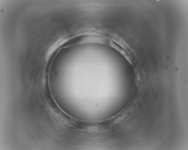 X0000070400344200606302017