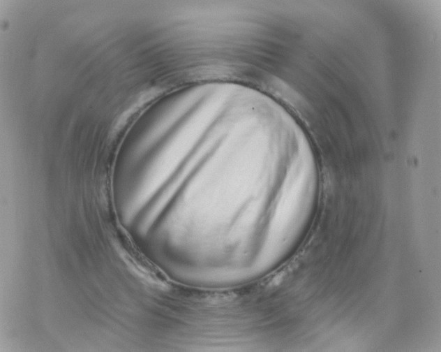 X0000070400345200606302017