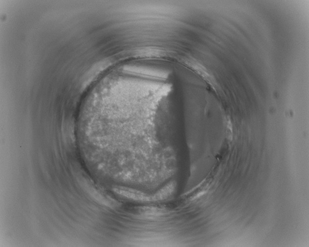 X0000070400347200606302017