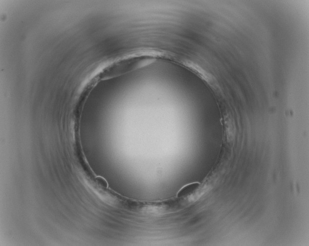 X0000070400350200606302017