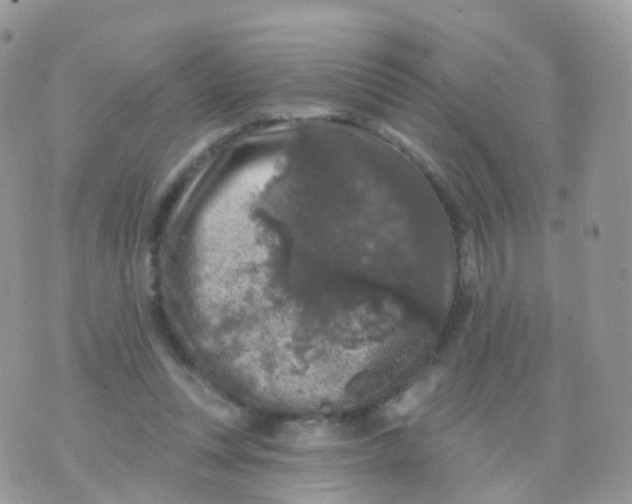 X0000070400351200606302017