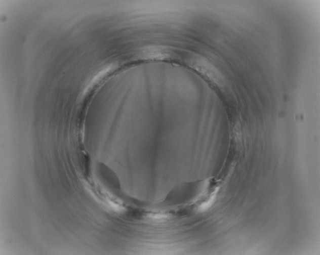 X0000070400352200606302017