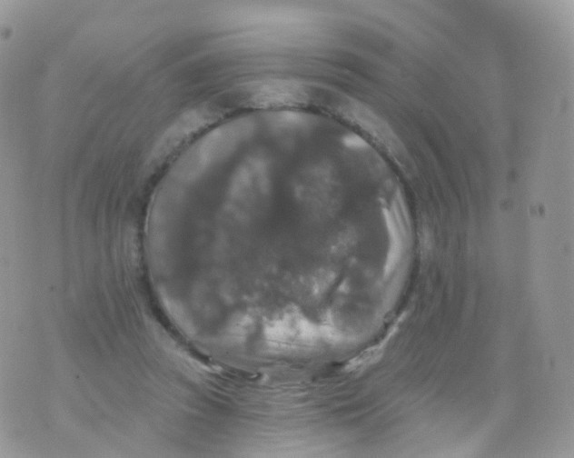 X0000070400353200606302017