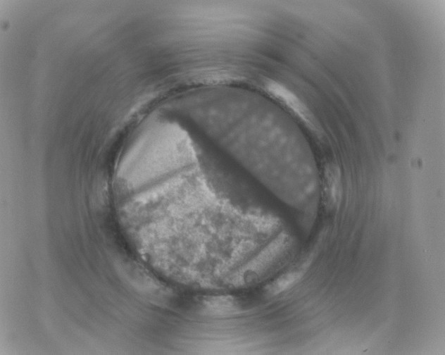 X0000070400355200606302017