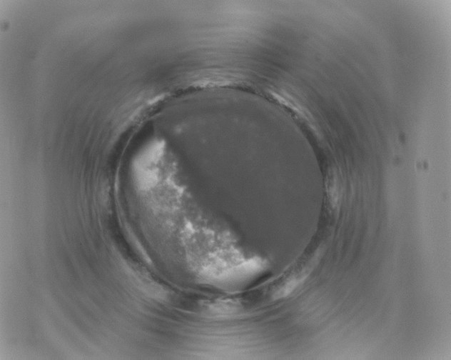 X0000070400359200606302017