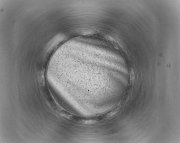 X0000070400360200606302017