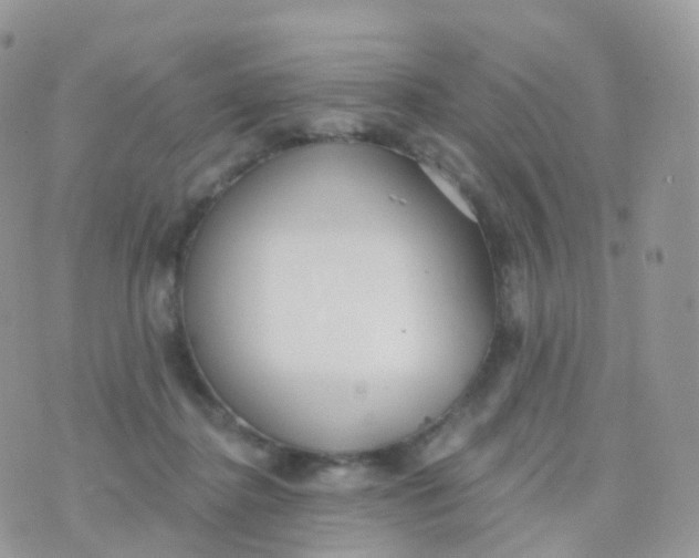 X0000070400364200606302017