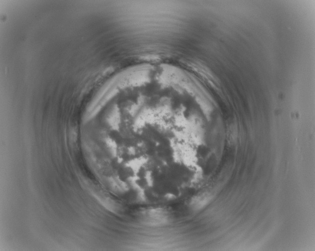 X0000070400365200606302017