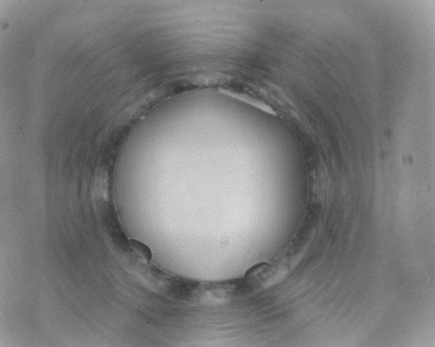 X0000070400368200606302017