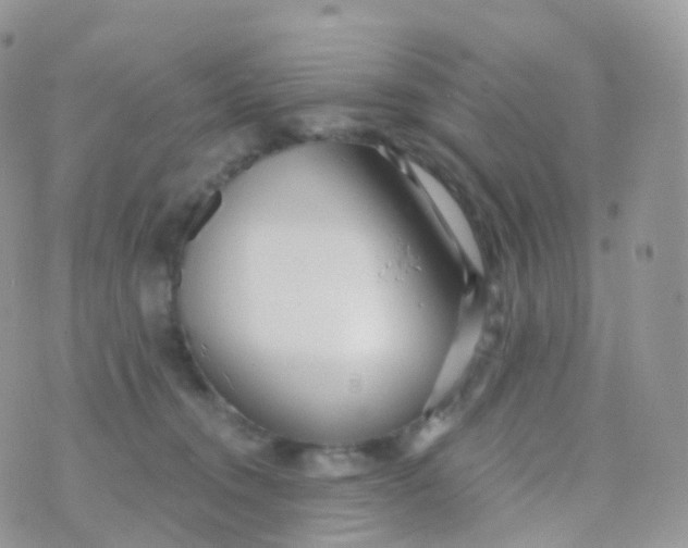 X0000070400372200606302017