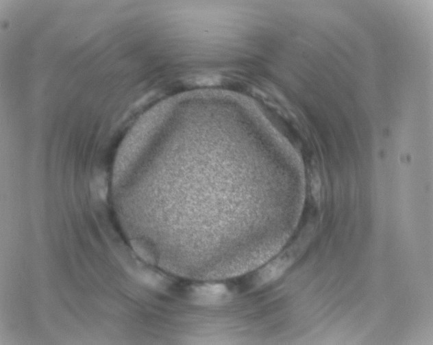 X0000070400374200606302017