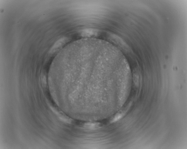 X0000070400375200606302017