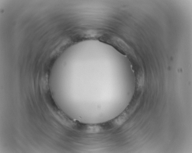 X0000070400376200606302017