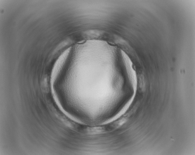 X0000070400378200606302017