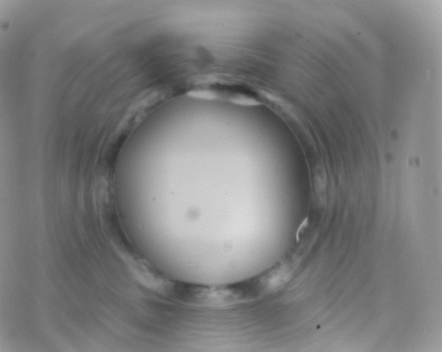 X0000070400379200606302017