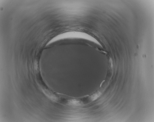 X0000070400380200606302017