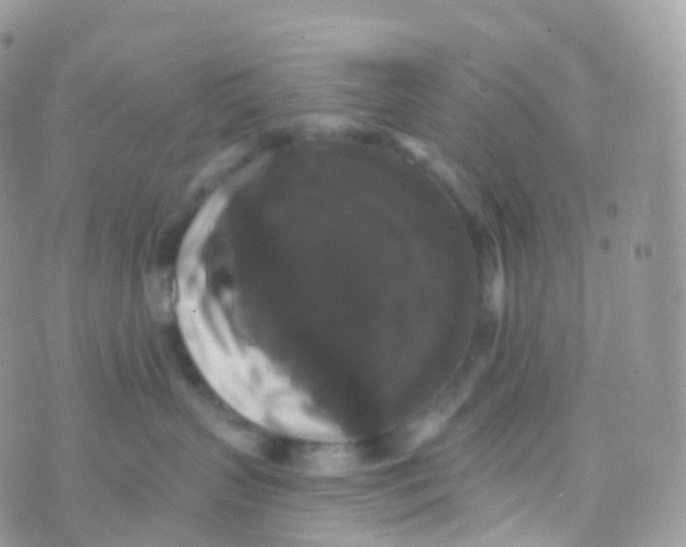 X0000070400383200606302017