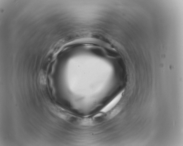 X0000070400384200606302017