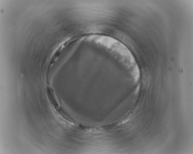 X0000070400386200606302017