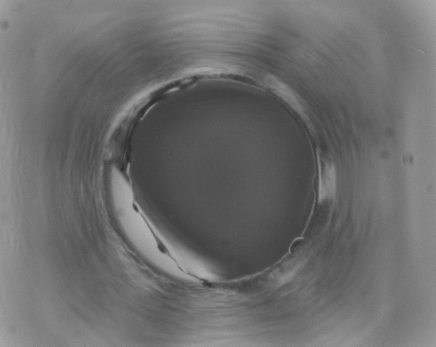 X0000070400387200606302016