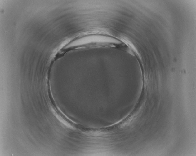 X0000070400389200606302016