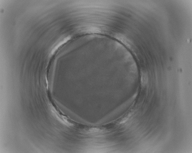 X0000070400390200606302016