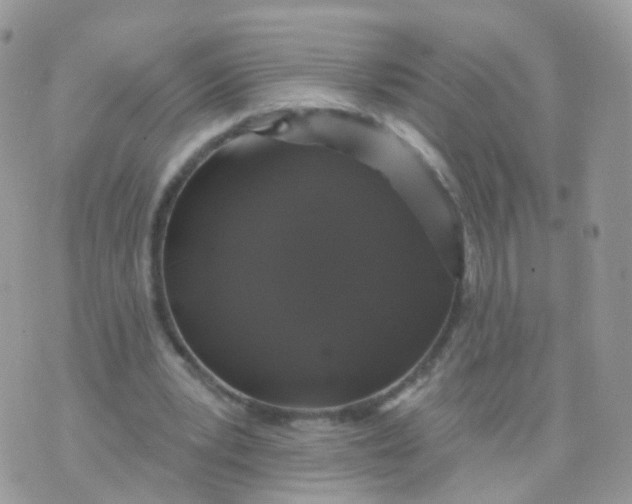 X0000070400391200606302016