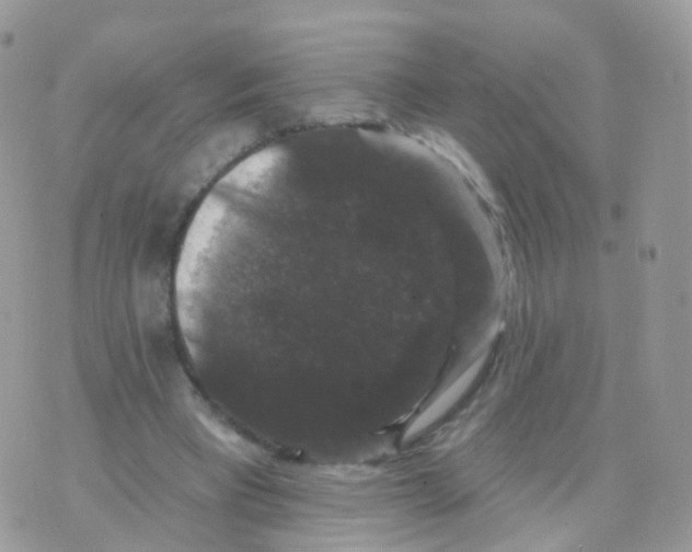 X0000070400393200606302016