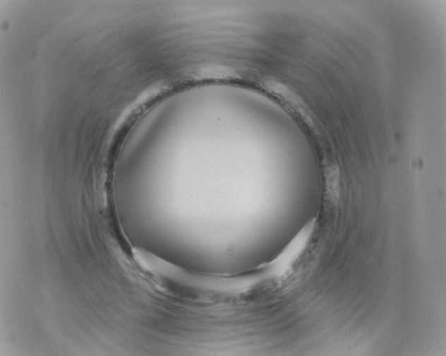 X0000070400395200606302016