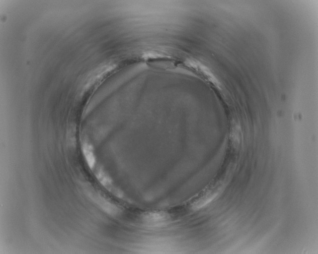 X0000070400402200606302016