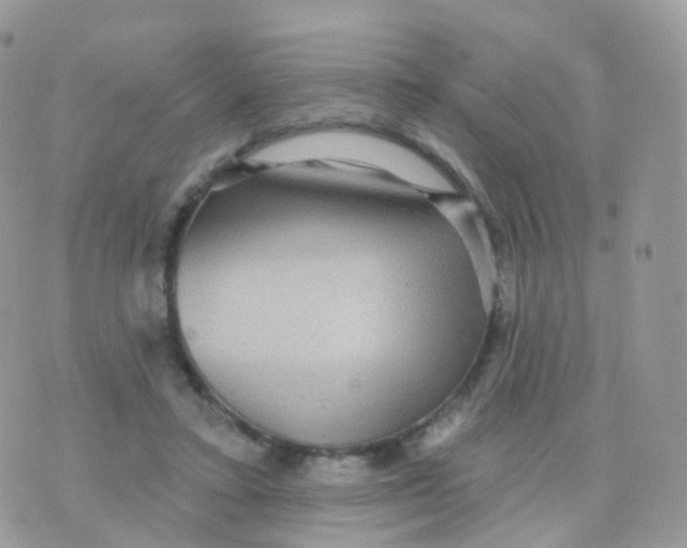 X0000070400403200606302016