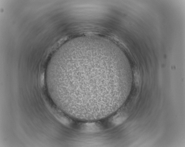 X0000070400406200606302016