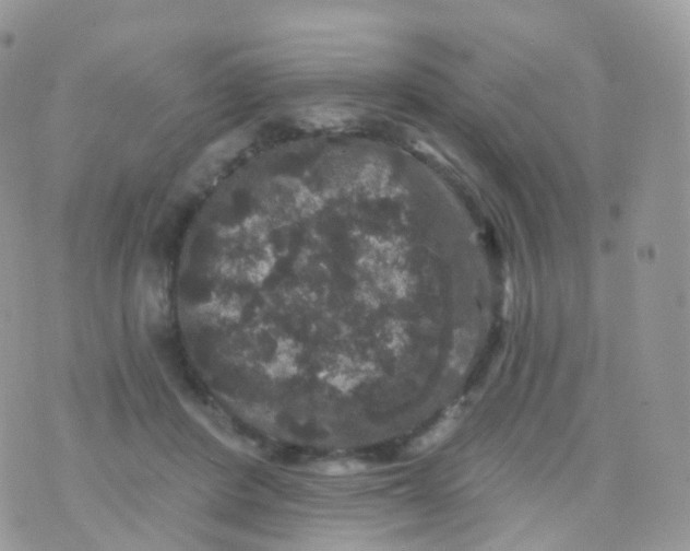 X0000070400408200606302016