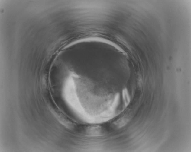 X0000070400410200606302016