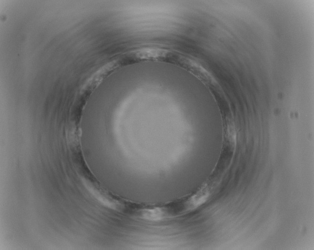 X0000070400411200606302016