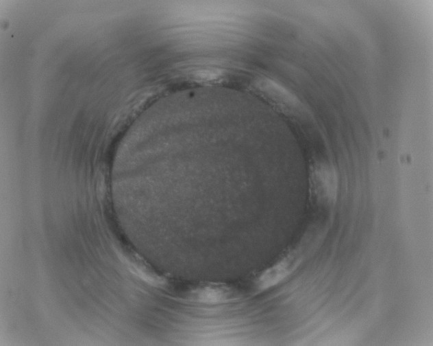 X0000070400412200606302016