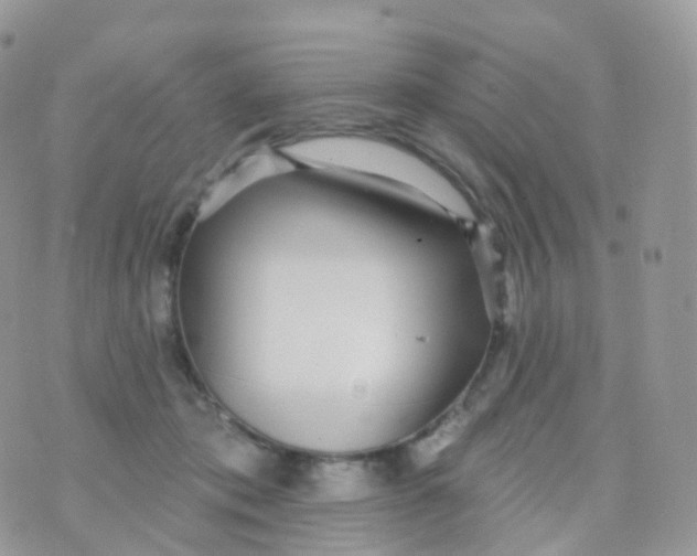 X0000070400413200606302016