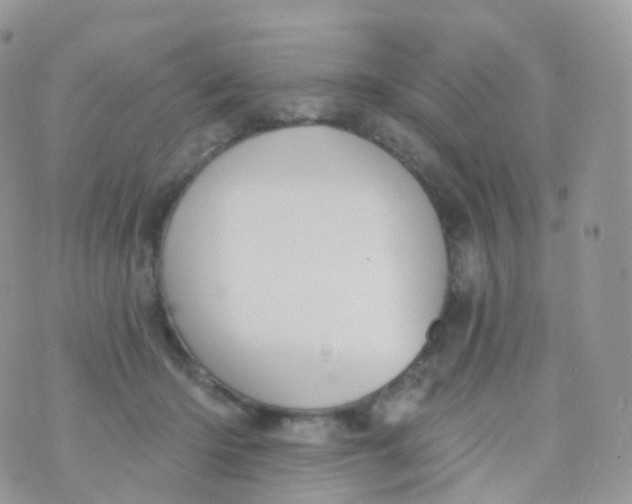 X0000070400414200606302016