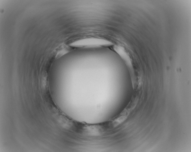 X0000070400417200606302016