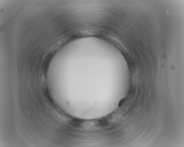 X0000070400418200606302016