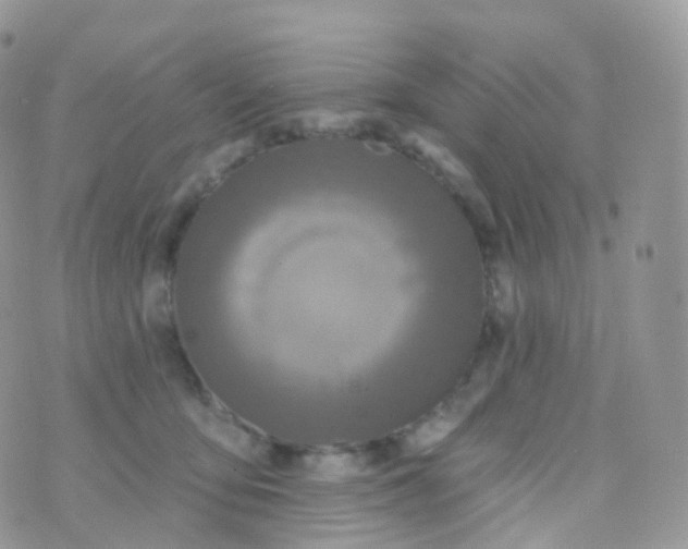 X0000070400419200606302016