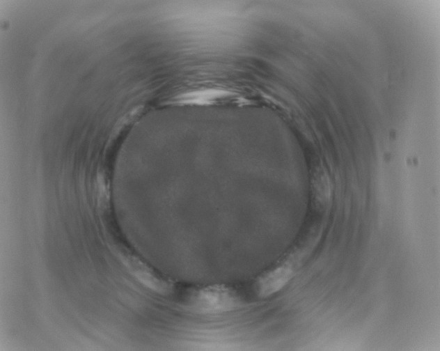 X0000070400420200606302016