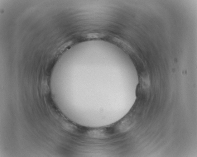 X0000070400422200606302016