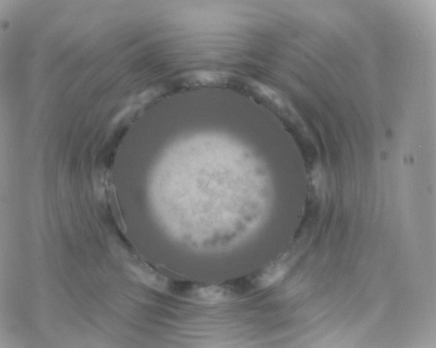 X0000070400423200606302016